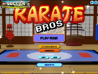 Karate Bros